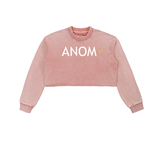 Anomalous Dynasty I Cropped Sweatshirt