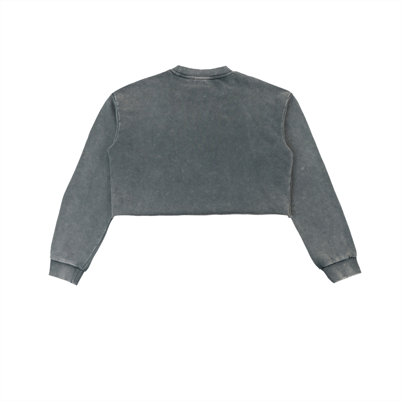 Anomalous Dynasty I Cropped Sweatshirt