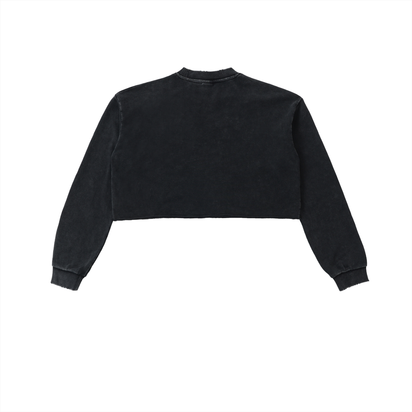 Anomalous Dynasty I Cropped Sweatshirt