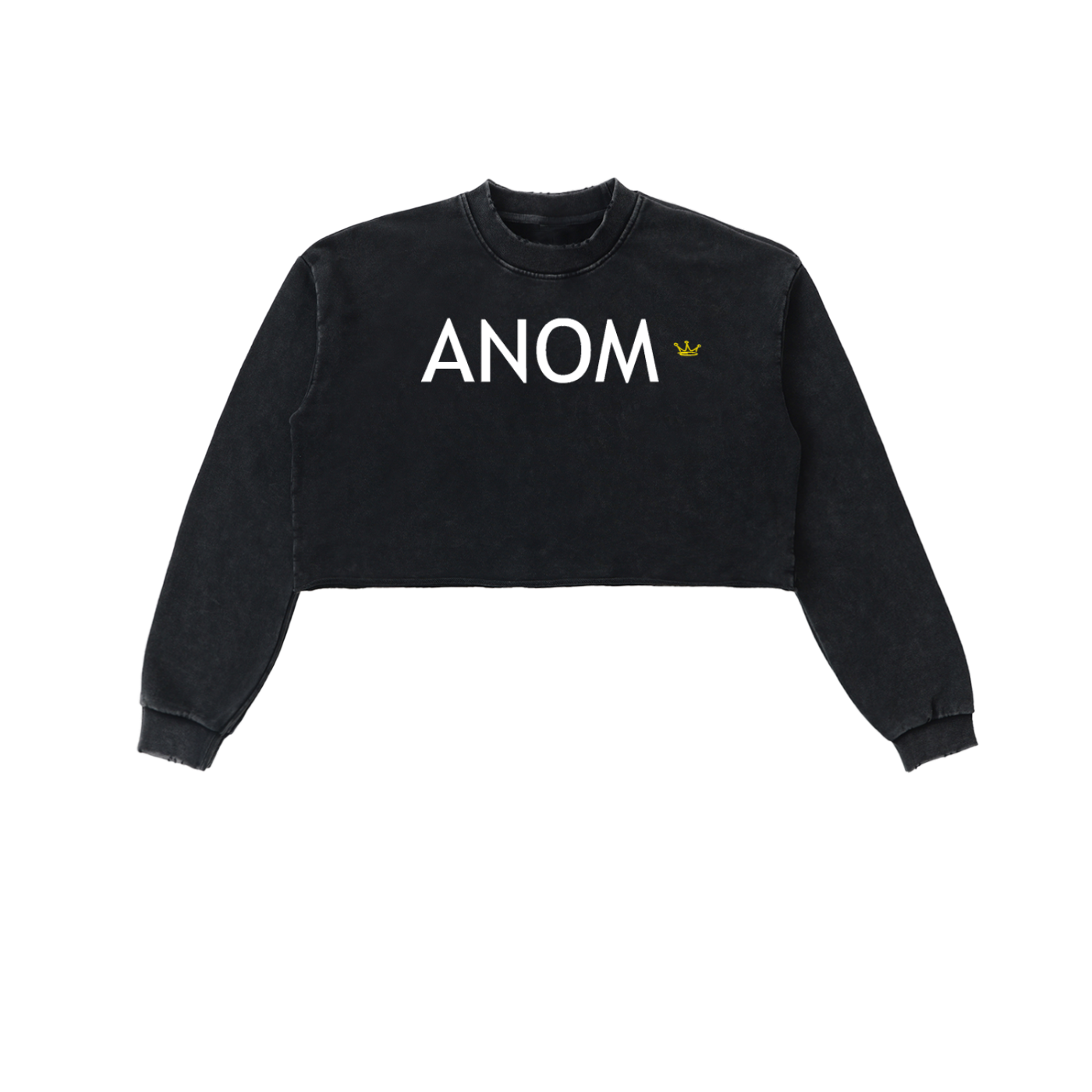 Anomalous Dynasty I Cropped Sweatshirt