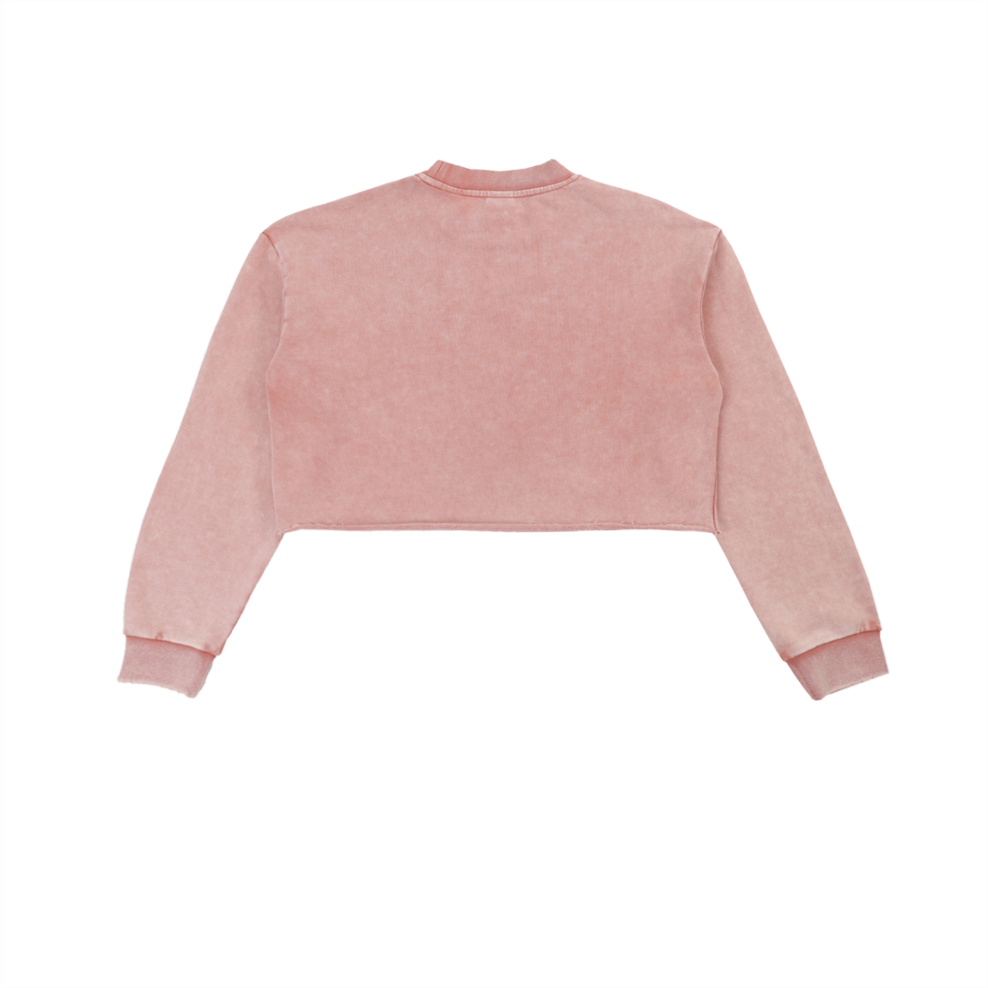 Anomalous Dynasty I Cropped Sweatshirt