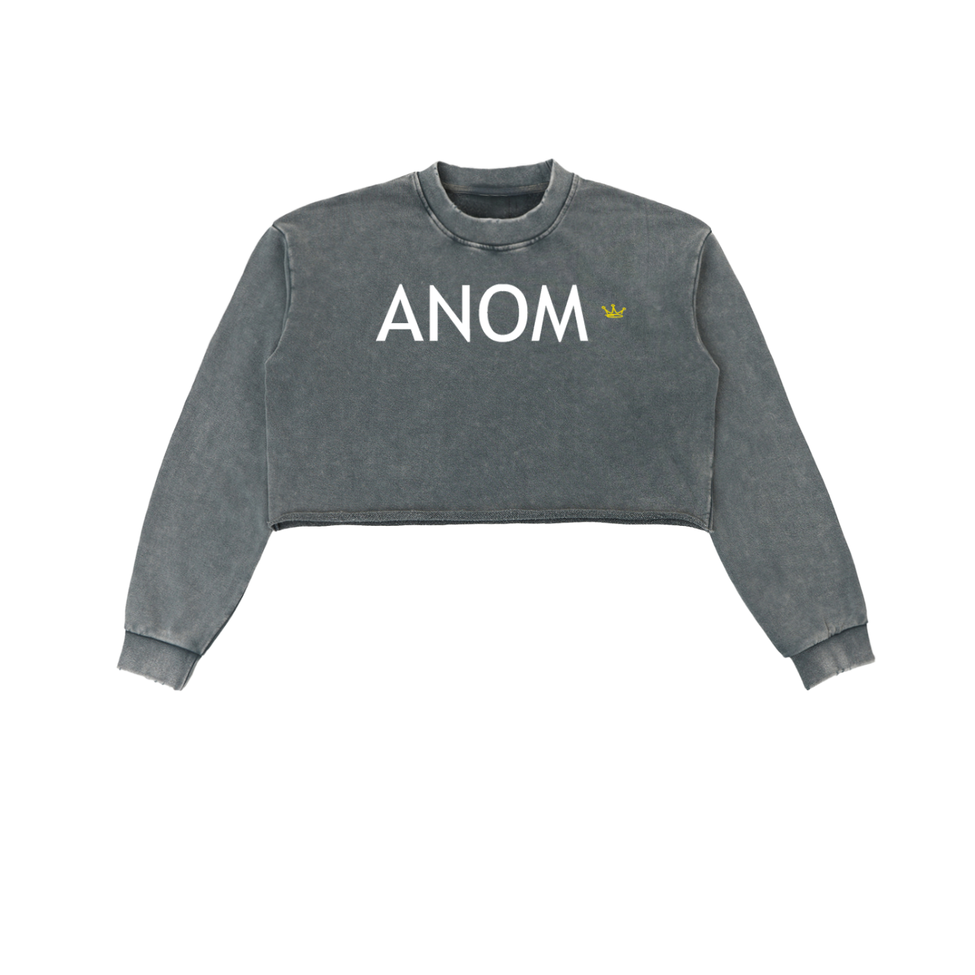 Anomalous Dynasty I Cropped Sweatshirt