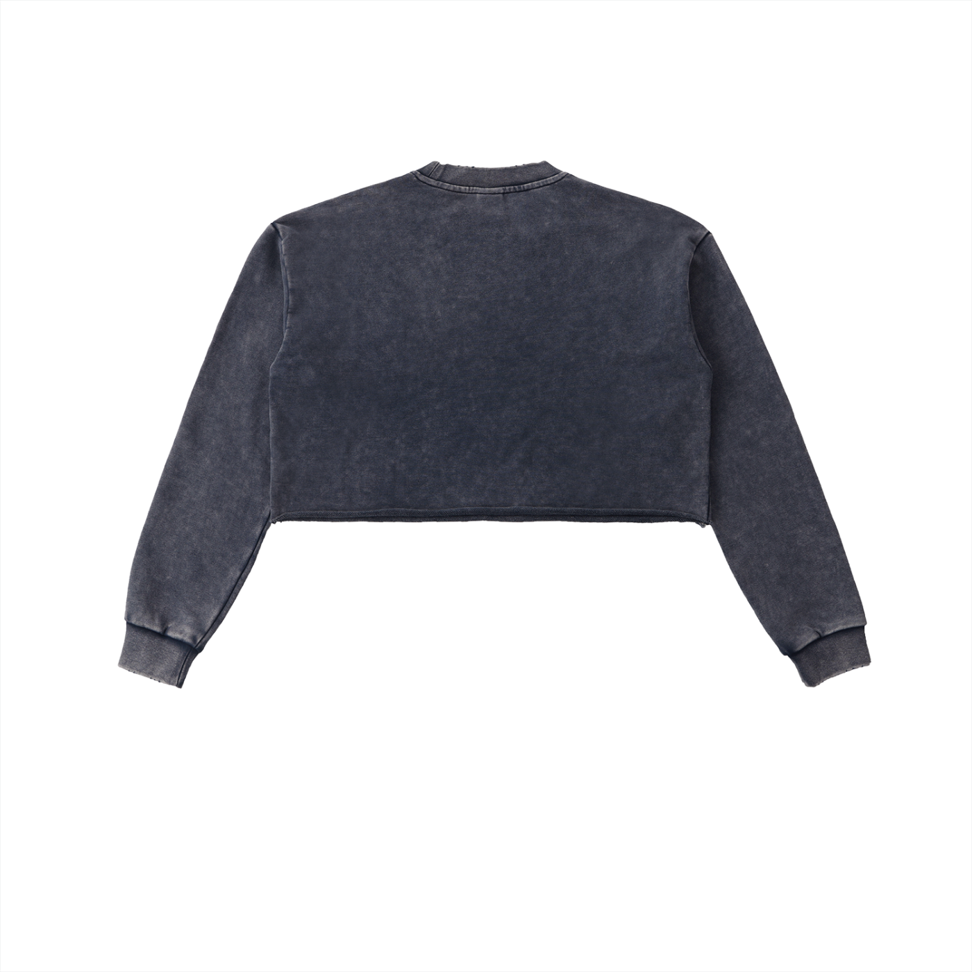 Anomalous Dynasty I Cropped Sweatshirt