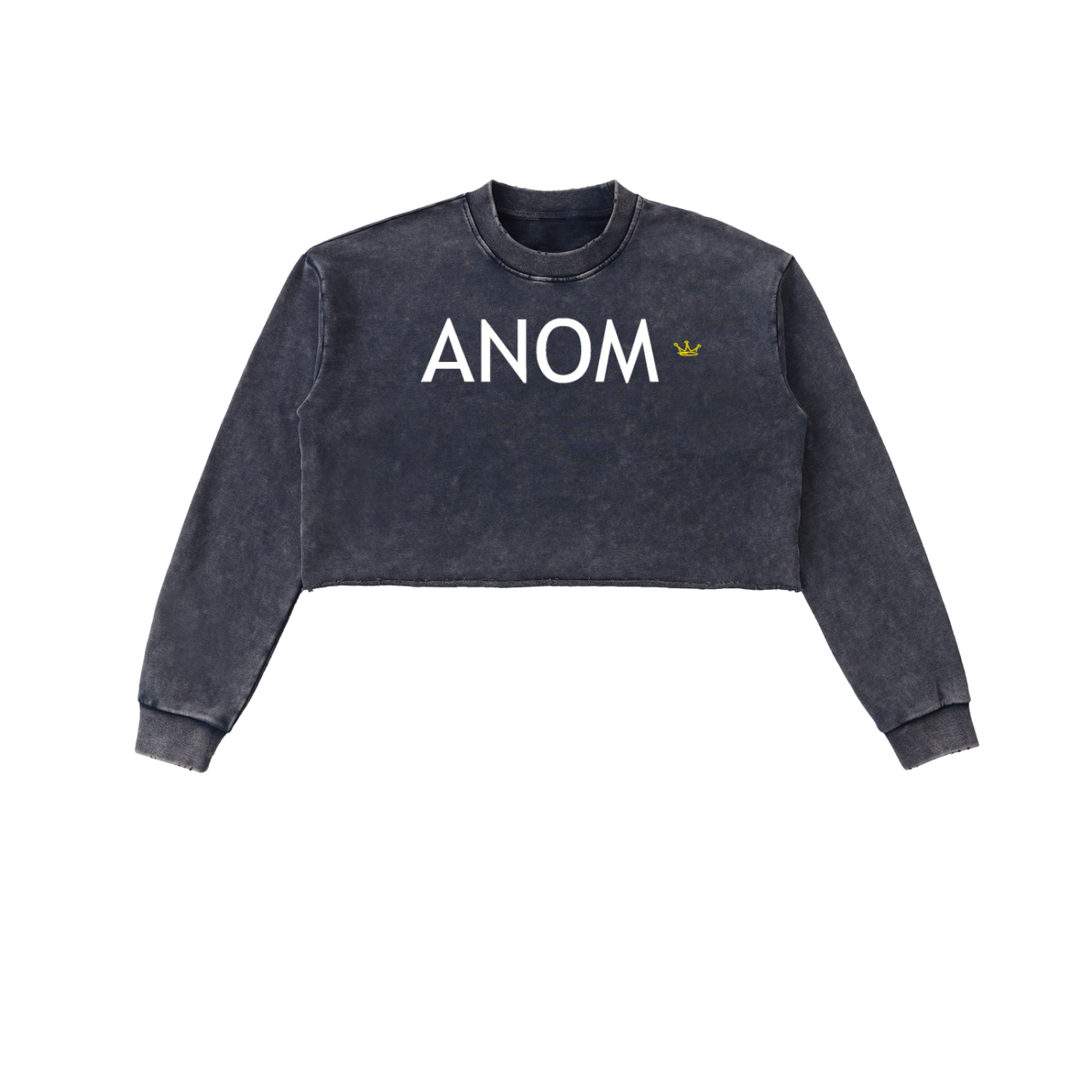 Anomalous Dynasty I Cropped Sweatshirt